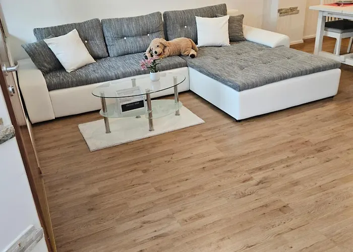 Zoya * Kranjska Gora