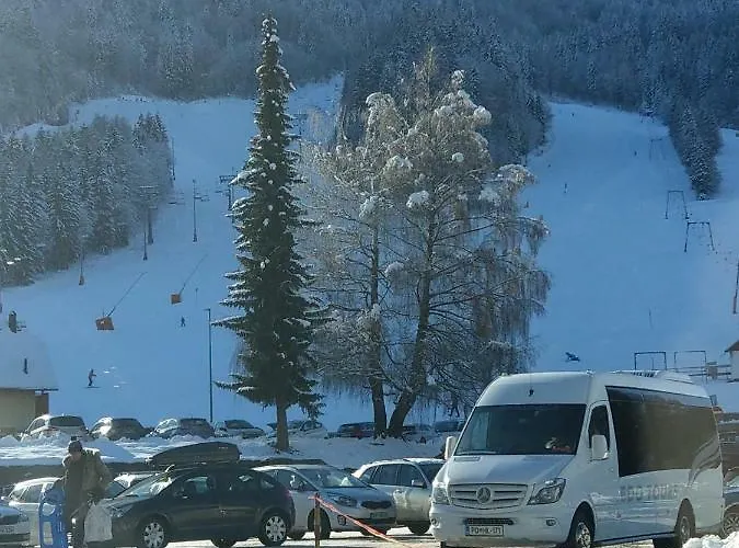 Zoya Daire Kranjska Gora